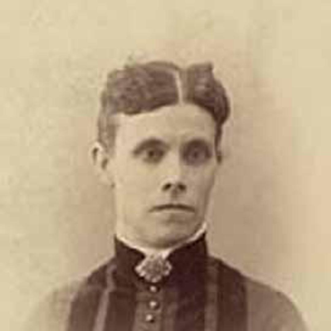 Celestia Larissa Pratt (1842 - 1905) Profile
